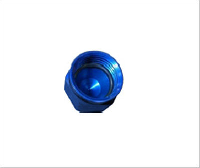 AN Cap WITH O-RING